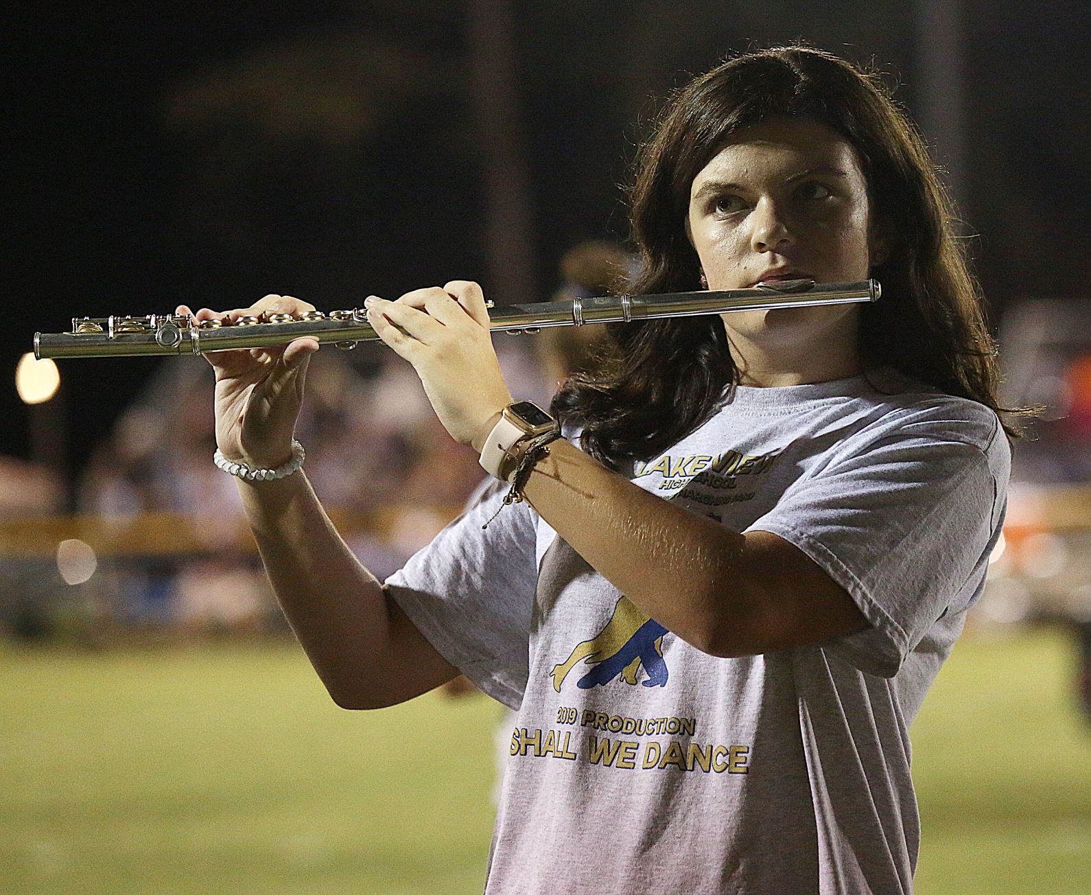 Lake View Band